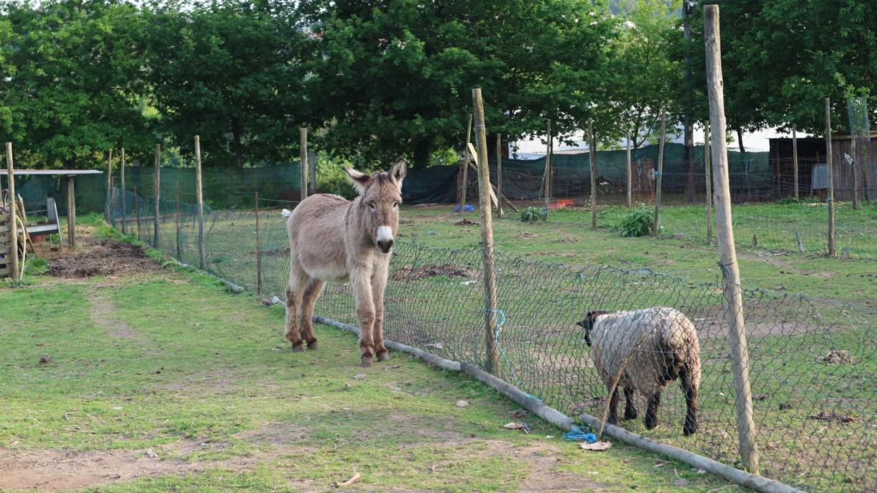 Quinta Lama De Cima Fafe Bagian luar foto