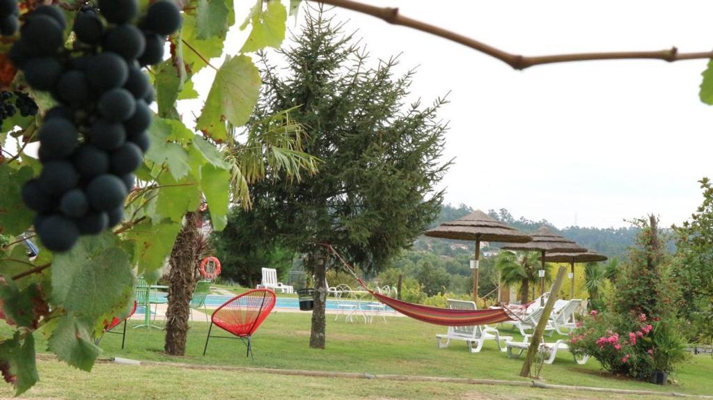 Quinta Lama De Cima Fafe Bagian luar foto